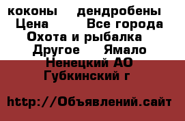 коконы    дендробены › Цена ­ 25 - Все города Охота и рыбалка » Другое   . Ямало-Ненецкий АО,Губкинский г.